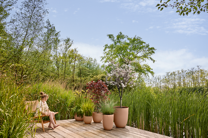 sereh high 40cm cool clay